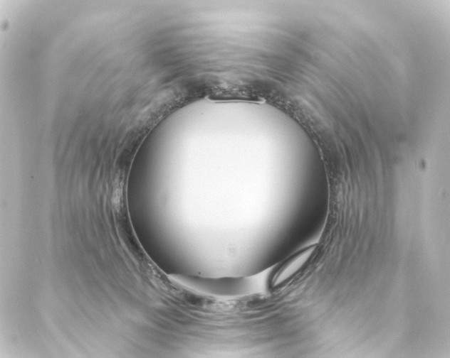 X0000088570129200706221301