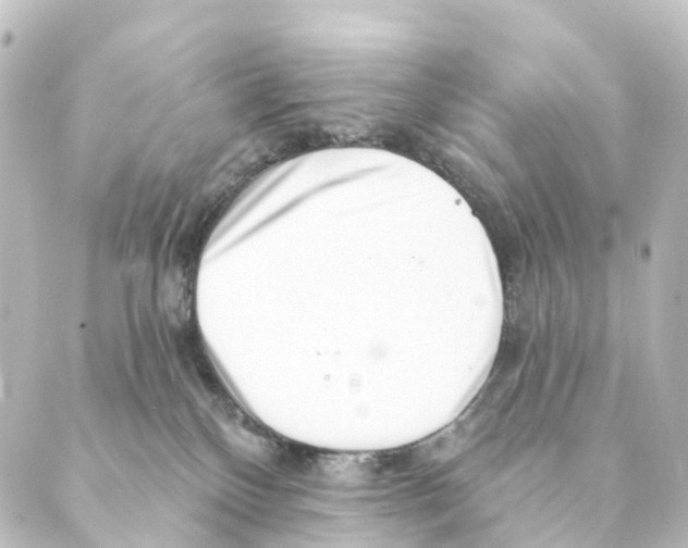 X0000088570136200706221301