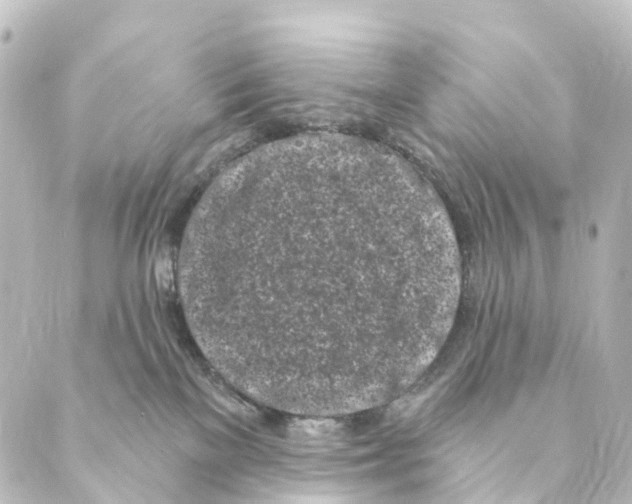 X0000088570137200706221301