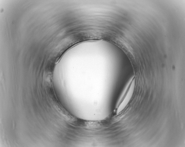 X0000088570141200706221300