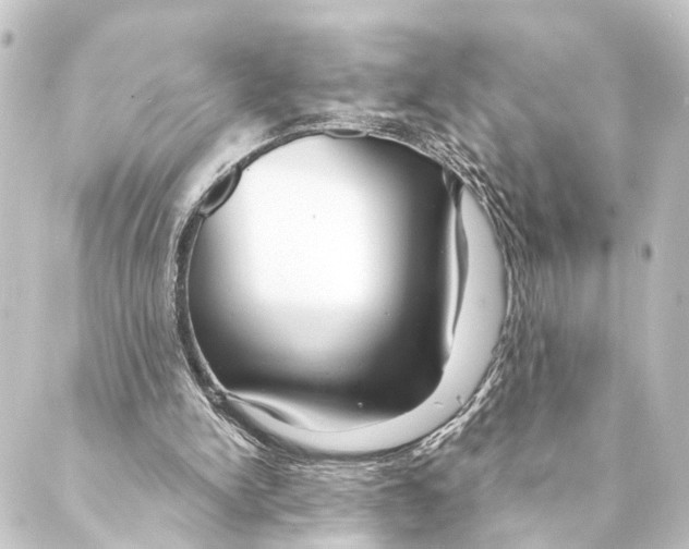 X0000088570150200706221300