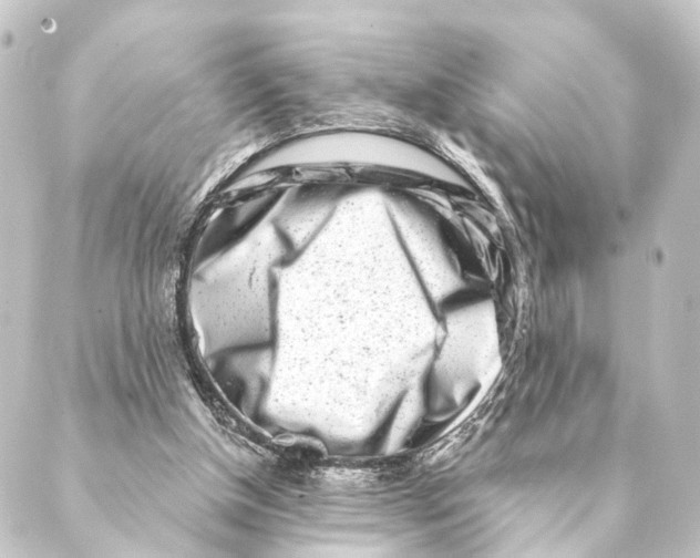 X0000088570154200706221300