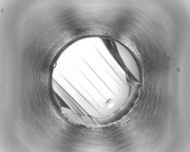 X0000088570156200706221300