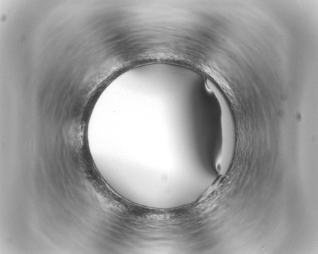 X0000088570160200706221300