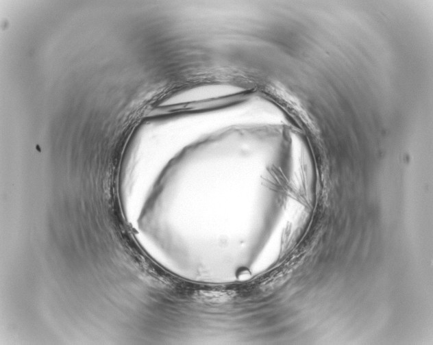 X0000088570161200706221300