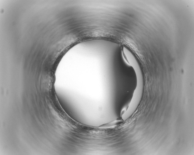 X0000088570164200706221300