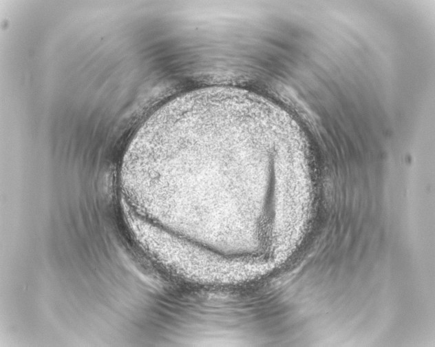 X0000088570165200706221300