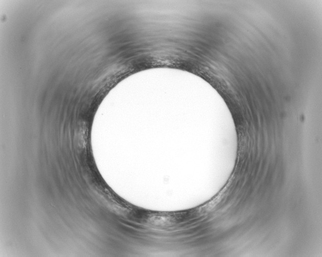X0000088570174200706221300