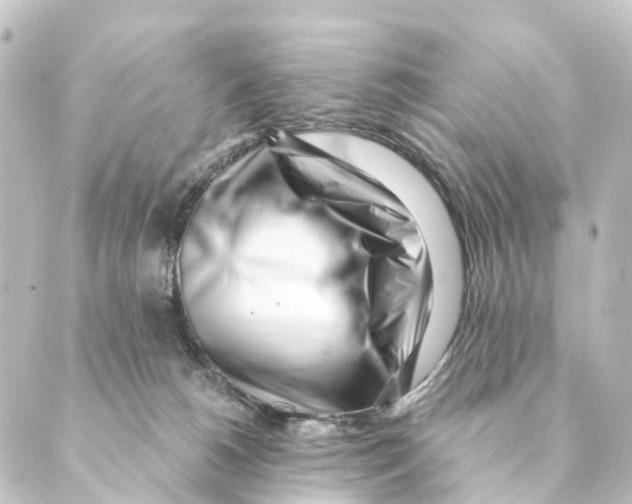 X0000088570180200706221300
