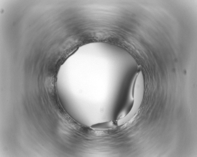 X0000088570184200706221300