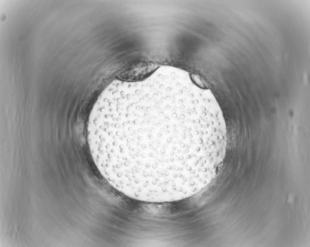 X0000088570187200706221300
