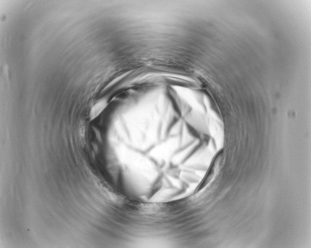 X0000088570192200706221300