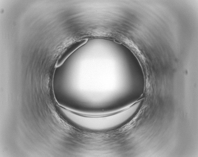 X0000088570201200706221300