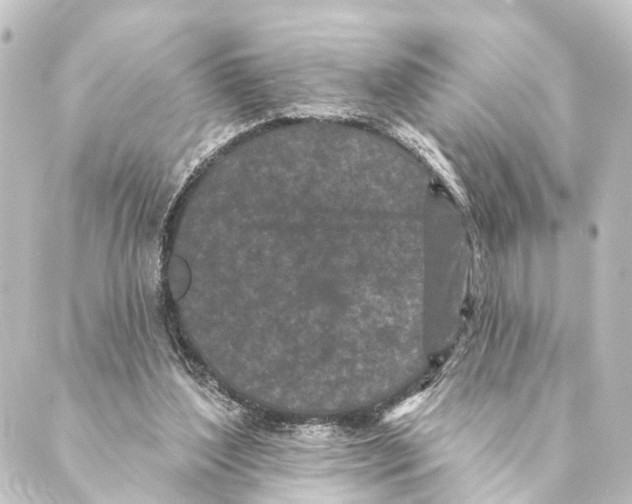 X0000088570204200706221259