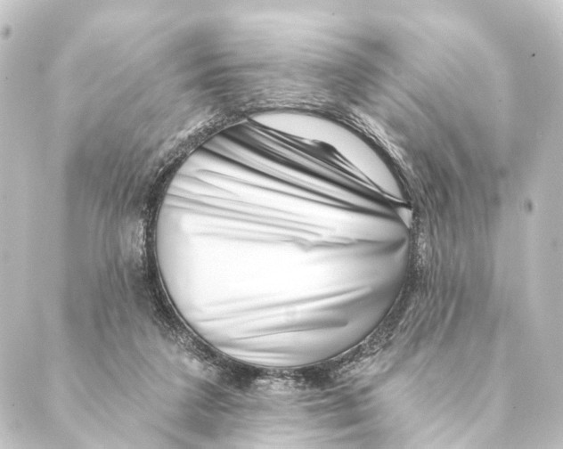 X0000088570211200706221259
