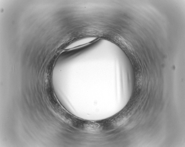 X0000088570215200706221259