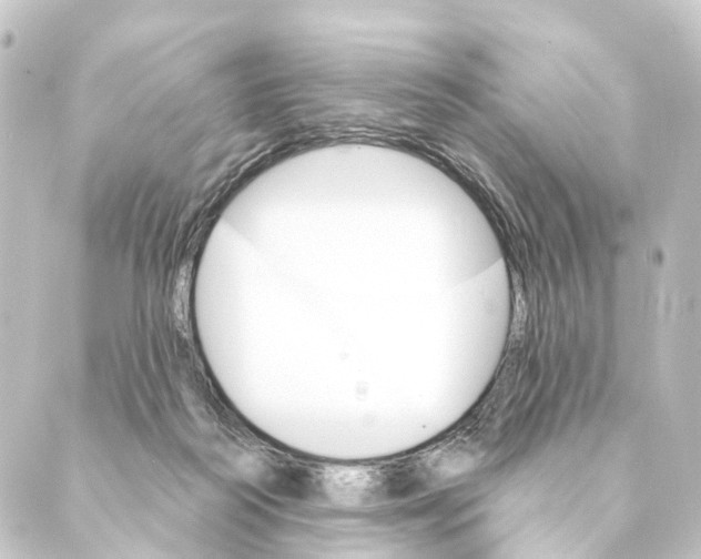 X0000088570218200706221259