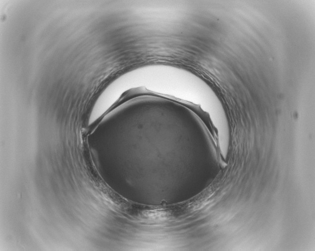 X0000088570219200706221259