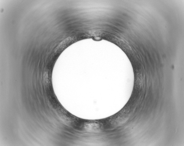 X0000088570220200706221259