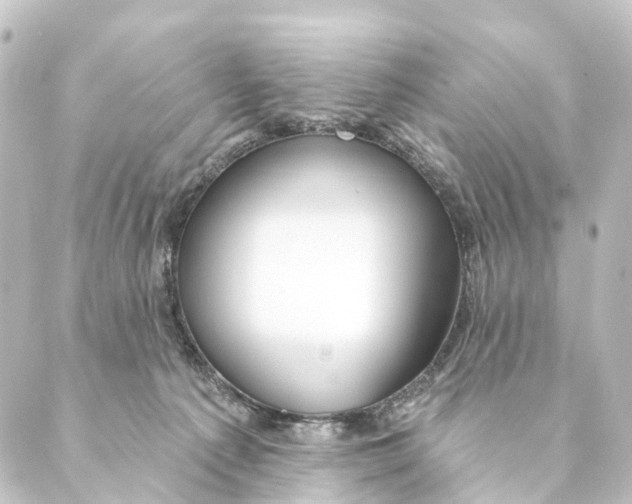 X0000088570225200706221259
