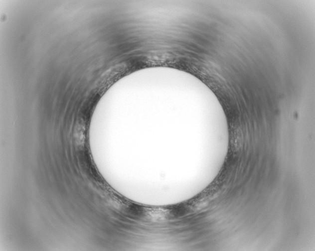 X0000088570226200706221259