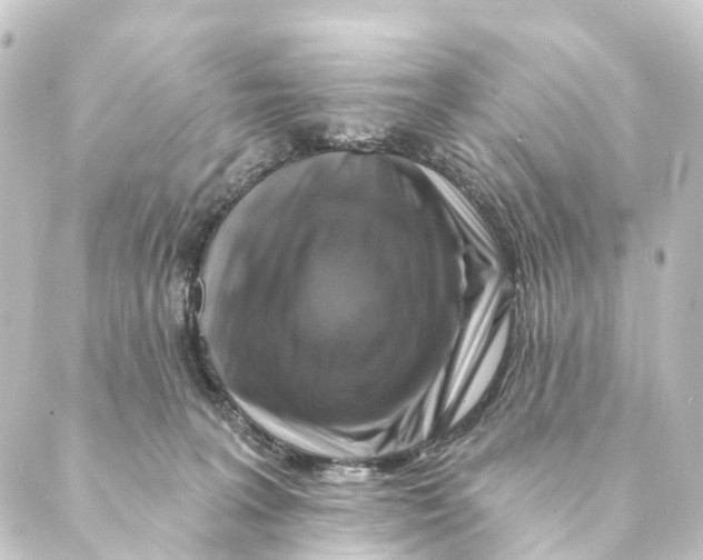 X0000088570227200706221259