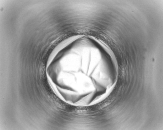 X0000088570228200706221259