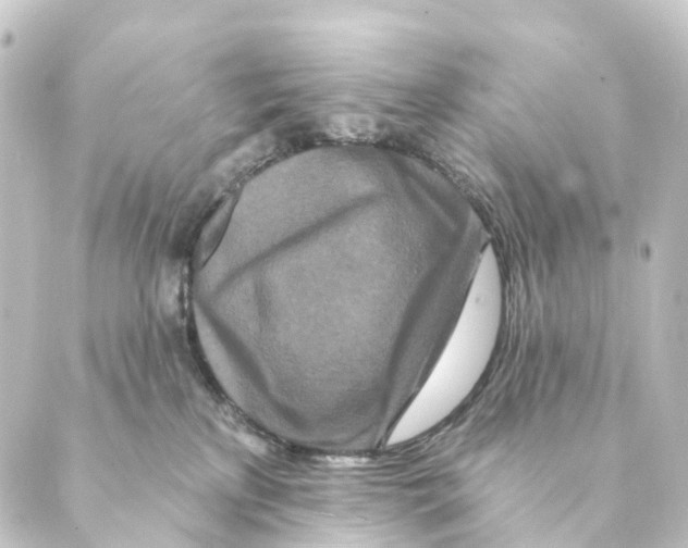X0000088570233200706221259