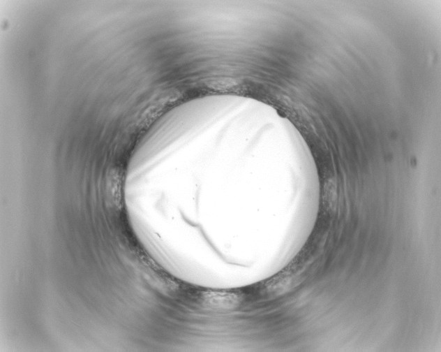 X0000088570234200706221259