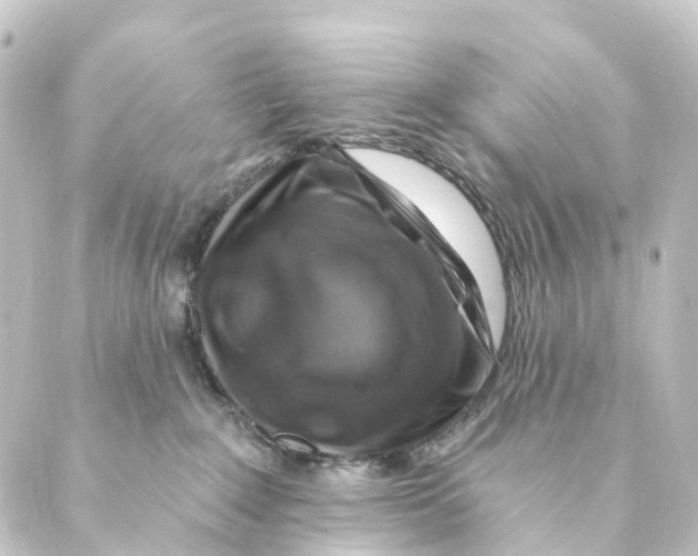 X0000088570235200706221259