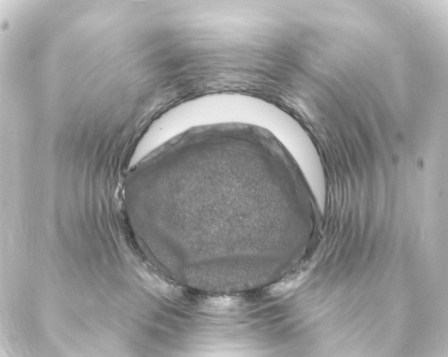 X0000088570237200706221259