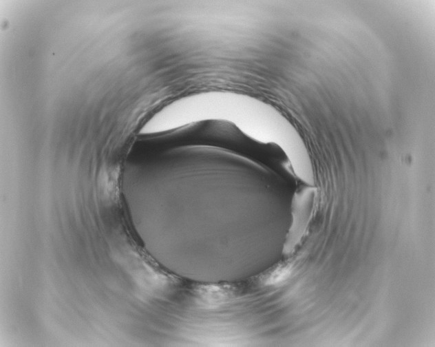X0000088570239200706221259