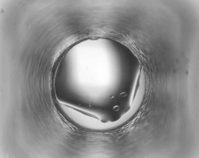 X0000088570244200706221258