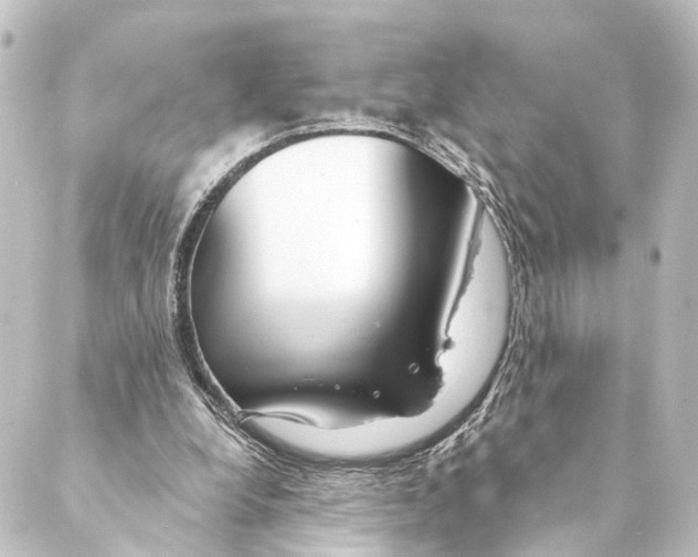X0000088570248200706221258