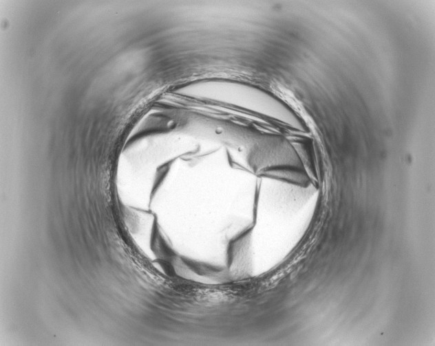 X0000088570249200706221258