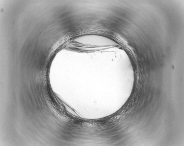 X0000088570250200706221258