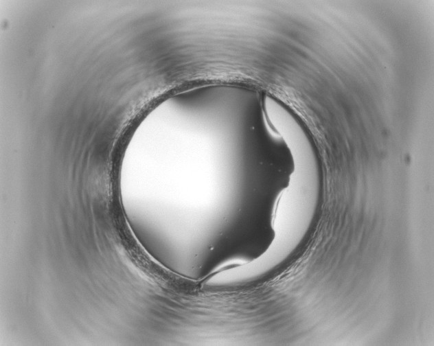 X0000088570252200706221258