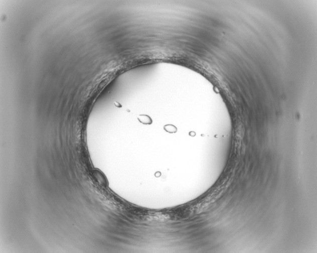 X0000088570257200706221258