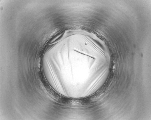 X0000088570264200706221258