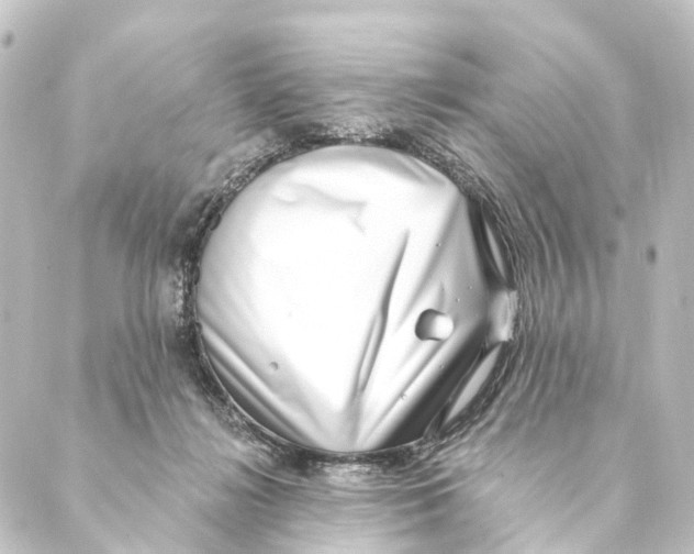X0000088570268200706221259