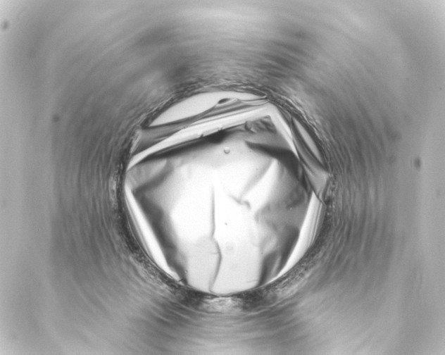 X0000088570269200706221259