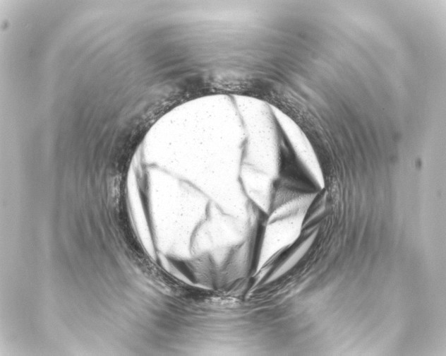 X0000088570271200706221259