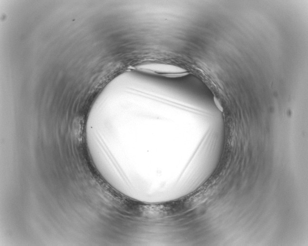 X0000088570273200706221259