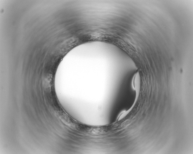 X0000088570275200706221259