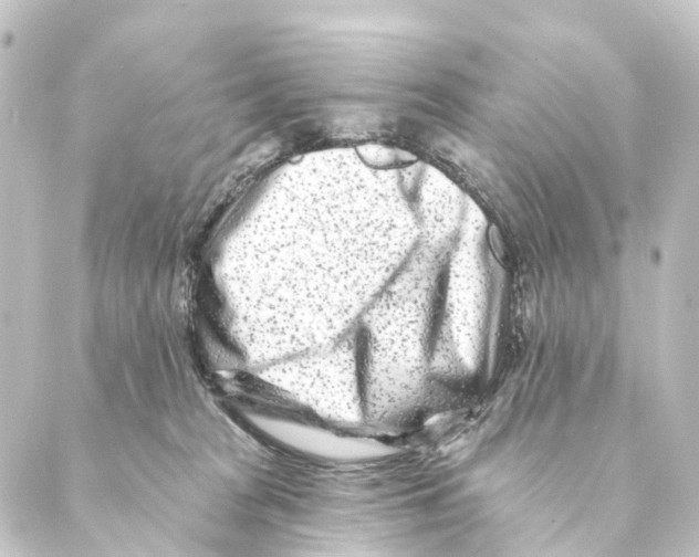 X0000088570277200706221259