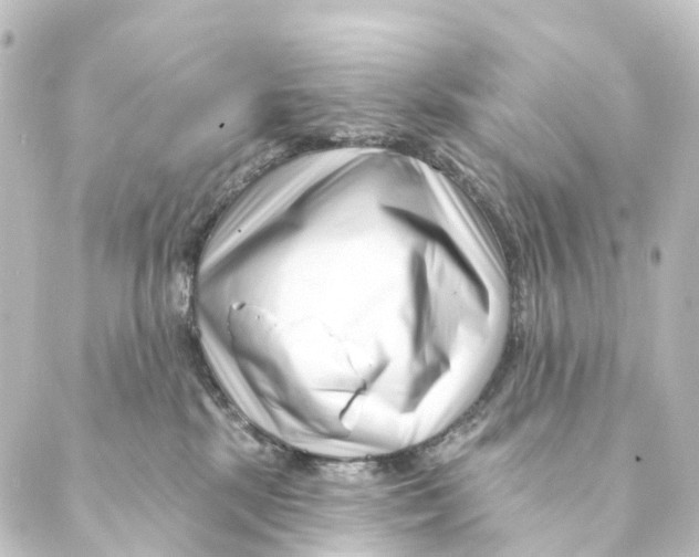 X0000088570281200706221259
