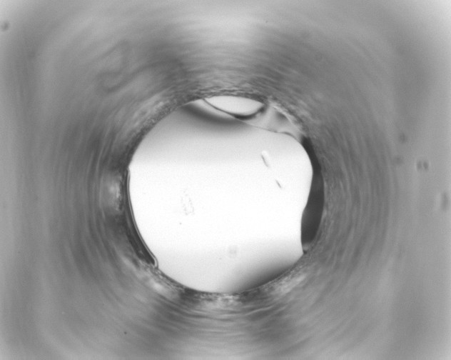 X0000088570288200706221259