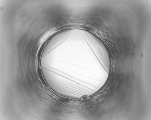 X0000088570294200706221258