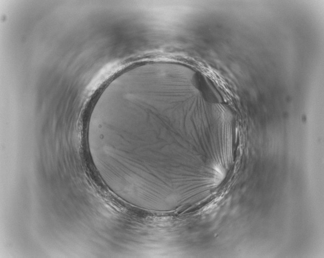X0000088570295200706221258