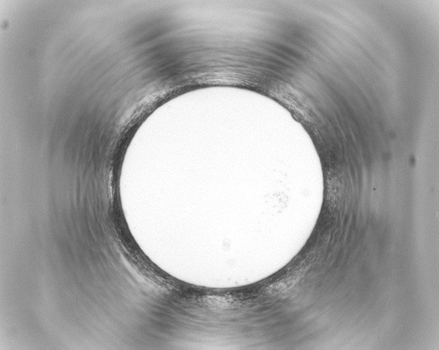 X0000088570302200706221258